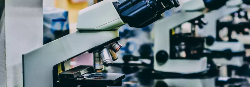 How to Become a Scientist without A Levels